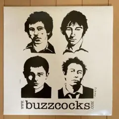 buzzcocks 2枚組　カラーレコード　3/8 2025年最新】buzzcock レコードの人気アイテム - メルカリ