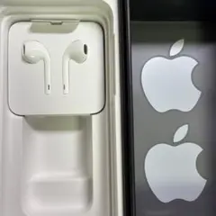 純正イヤホン iPhone11Pro 付属品