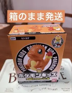 ポケモンキッズ　30周年スペシャル vol.1編 ヒトカゲ ポケモン