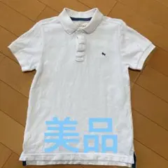 Item thumbnail for item 4c9787c2-7066-417f-ba84-6e8841950513