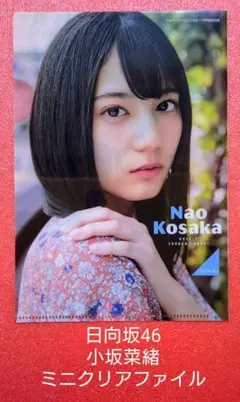 Item thumbnail for item 05ad6747-4f1e-4899-835d-ebcda32c767e