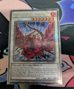 ブラックローズドラゴン　25th
