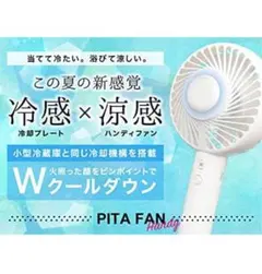 THANKO PITA FAN ハンディファン ホワイト　冷却プレートで冷んやり
