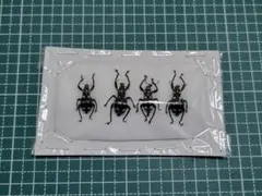 2026年最新】ゾウムシの人気アイテム - メルカリ