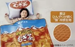 伊藤園　絶対もらえるキャンペーン　ひんやりブランケット＆枕カバー