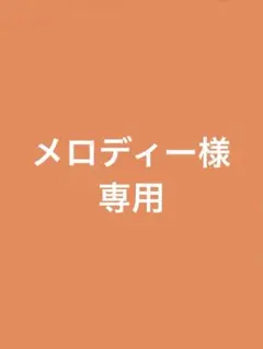 AMO STYLE ブライダルインナーセットB65