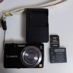 人気CCD】Panasonic LUMIX DMC-FX35 デジカメ 充電器 - メルカリ