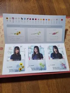 欅坂46 石森虹花 トレーディングカードセット 2026年最新】石森虹花の人気アイテム - メルカリ
