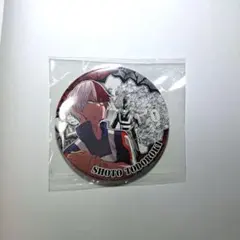 ヒロアカ コレクション缶バッジ 轟焦凍