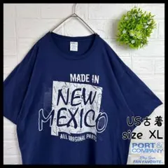 US古着 PORT&COMPANY デカプリント ビッグシルエット 半袖Tシャツ