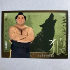 Item thumbnail for item 6021b8f0-b61b-47f0-bfb5-4edefe216e04