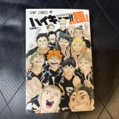 ハイキュー‼︎極！ファイナルガイドブック - メルカリ