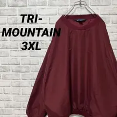 ヴィンテージ スケーター オーバーサイズ 90s ゆるだぼ ナイロンプルオーバー