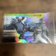 ビワハヤヒデ 第54回菊花賞 トレーディングカード