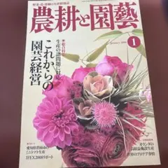 Item thumbnail for item 24a2ed7d-956d-4542-b392-82a2d1eca4b0