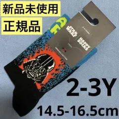 HAPPY SOCKS 新品未使用　正規品 P000298 2-3