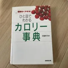 Item thumbnail for item 7c08d12d-9248-4456-b571-33626443698d