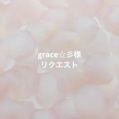 grace☆彡様 リクエスト 2点 まとめ商品
