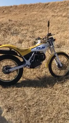 HONDA TLM200R MD15 中古 現状渡し - メルカリ