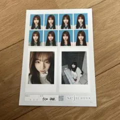 seju 証明写真 向井怜衣