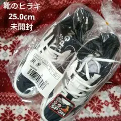 Item thumbnail for item e399dbe9-d421-42d0-9fa0-a975b5f3d857