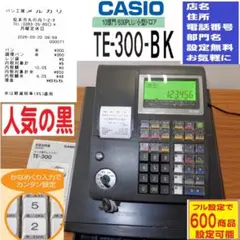 2026年最新】casio TE-300の人気アイテム - メルカリ