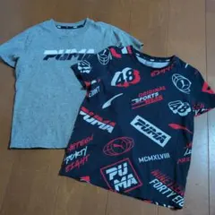 PUMA　プーマ　 Tシャツ　２枚組　140サイズ