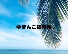 ゆきんこ様専用