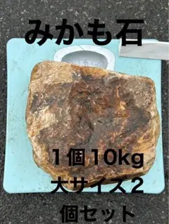 미카모이시 20kg 세트, 1개, 10kg, 라지 사이즈, 2개 세트