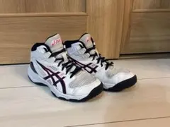 アシックス　ダンクショット　バスケットボールシューズ 20.5