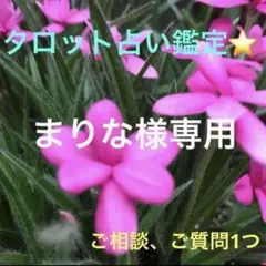 まりな様専用 タロット占い鑑定❤️ご質問1つ