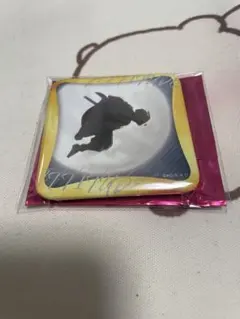 鬼滅の刃 隊士百景 マニアック缶バッジ