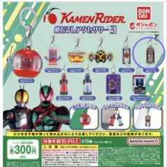 仮面ライダーめじるしアクセサリー3