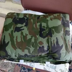 Item thumbnail for item ca556df3-79b2-4a95-b628-433f68357d03