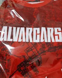 ALVARK TOKYO アルバルク東京　 Tシャツ Lサイズ　 クリアファイル