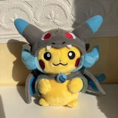 【希少】ピカチュウ メガリザードン ぬいぐるみ キーホルダー チェーン ポンチョ