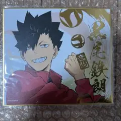 ハイキュー 色紙 黒尾鉄朗