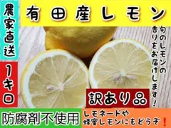 訳あり品　有田産レモン　1キロ