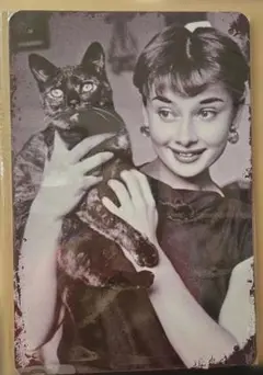 アートパネル☆オードリー・ヘップバーン