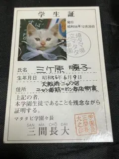 カルビー プロ野球カード 90年 金枠 No.197 巨人 篠塚 90049 カルビープロ野球カード 1990年 No.49 巨人 斎藤雅樹 美下品