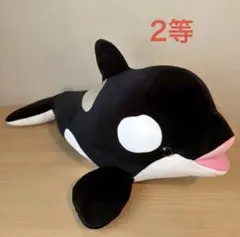 神戸須磨シーワールド限定 オルカくじ ぬいぐるみ 2等 - メルカリ