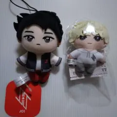 JO1 金城碧海 セット