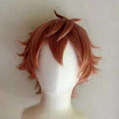 エース　ウィッグ