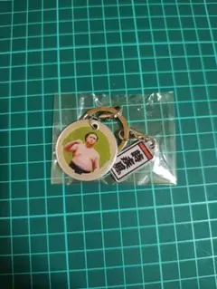 大相撲ガチャ　ダブルチャームメタルキーホルダー　時疾風