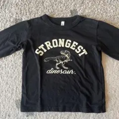 子供長袖Tシャツ　恐竜　110㎝ 2枚セット