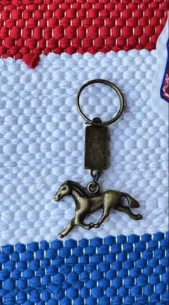 PALACE FUKUOKA KEYRING パレス 福岡限定 キーリング - メルカリ