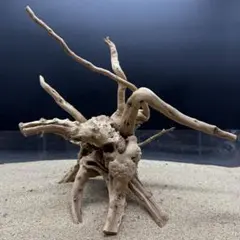 2026年最新】ブランチウッドの人気アイテム - メルカリ