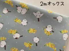 2m　シマエナガ　小鳥　ミモザ　花柄　オックス　コスモ　生地　ミント　493