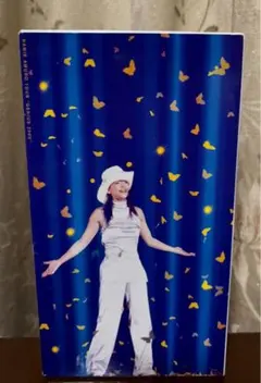 2026年最新】NAMIE AMURO TOUR“GENIUS 2000” [DVD]の人気アイテム