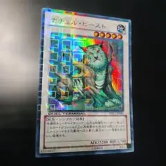 ナチュル・ビースト DTC1−JP082デュエルターミナルクロニクルウルトラレア